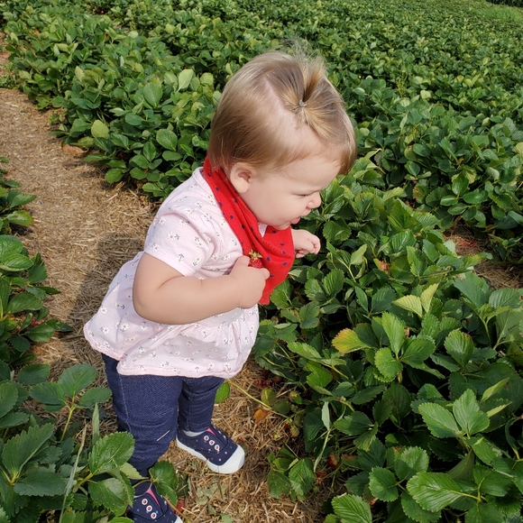 Meet your Posher, Kaitlyn - Picture 2 of 2